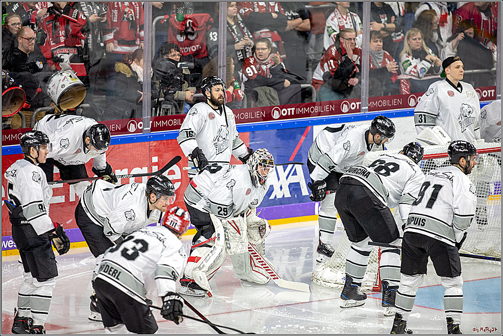 DEL; Koelner Haie - Thomas Sabo Ice Tigers Nuernberg, 19.02.2019